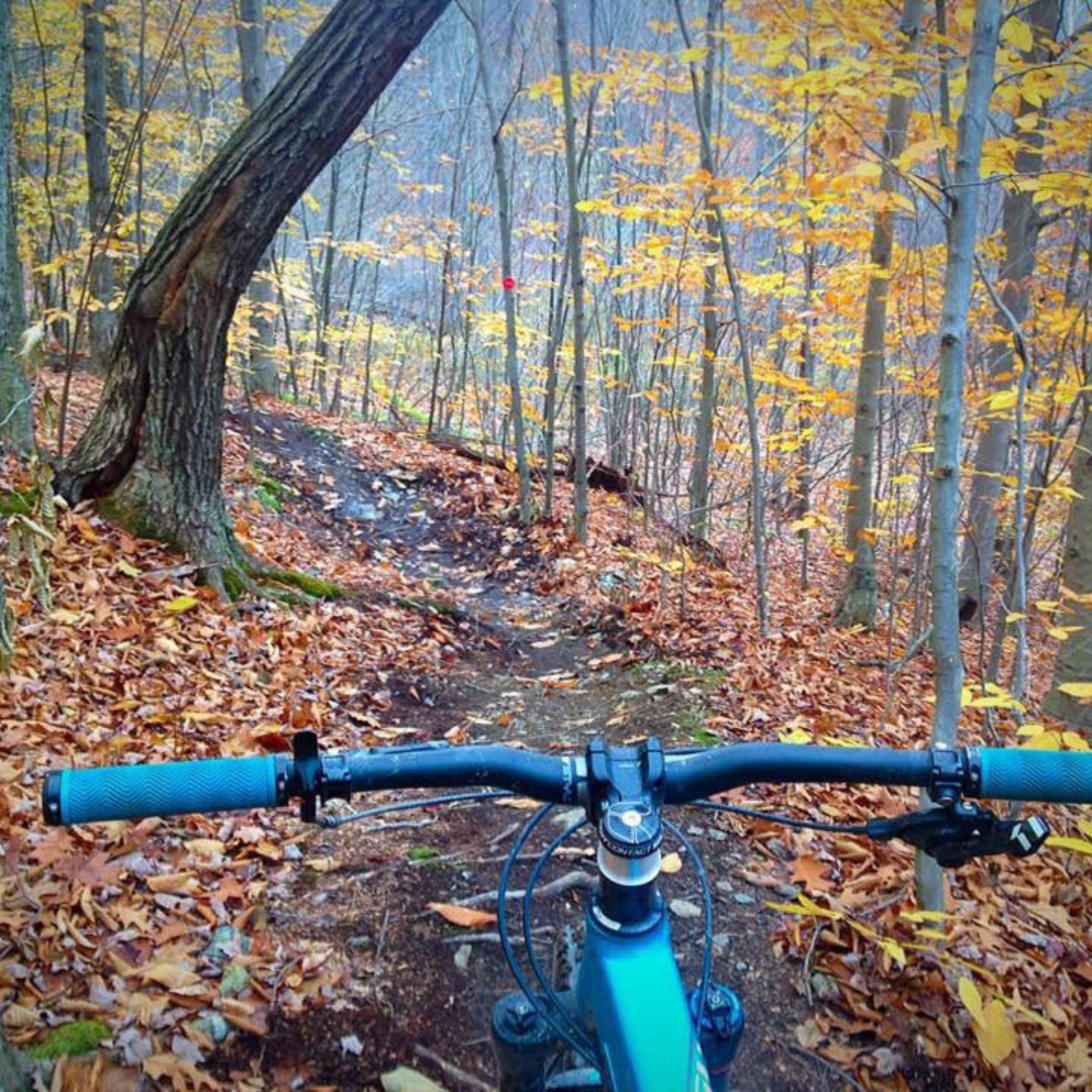 Harvey Mountain, Mountain Biking