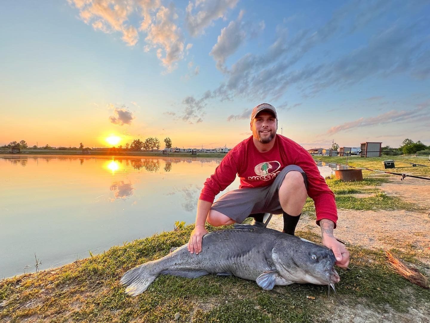 Giant Fish