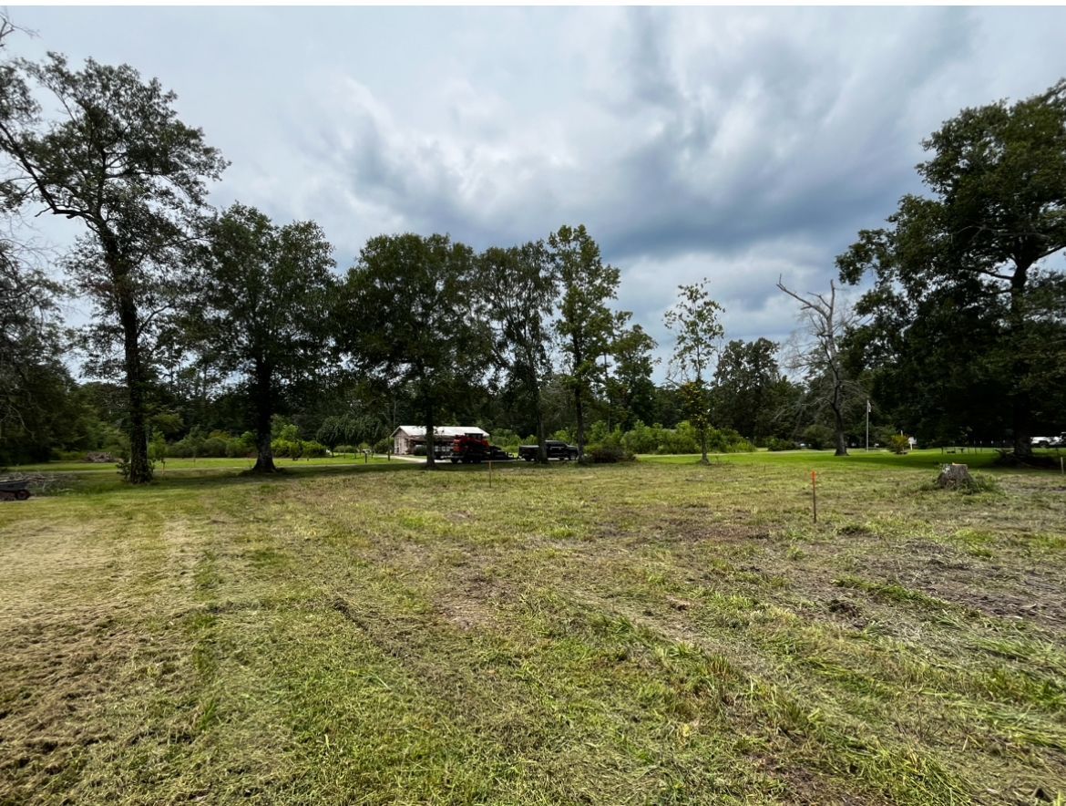 A large grassy field with trees in the background