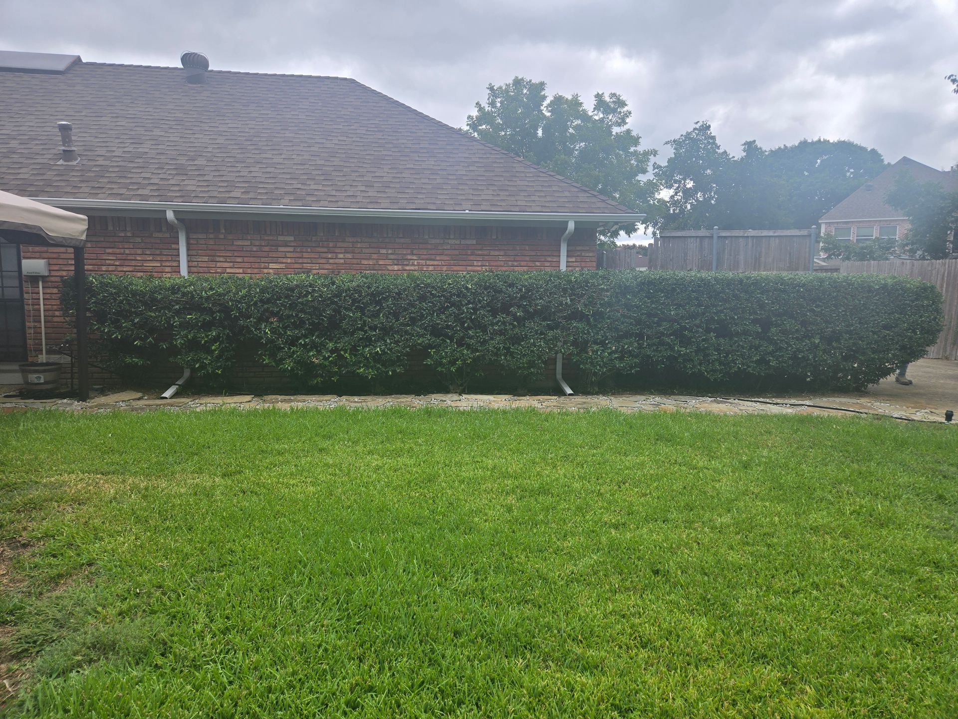 Freshly trimmed hedge on the side of a brick house.