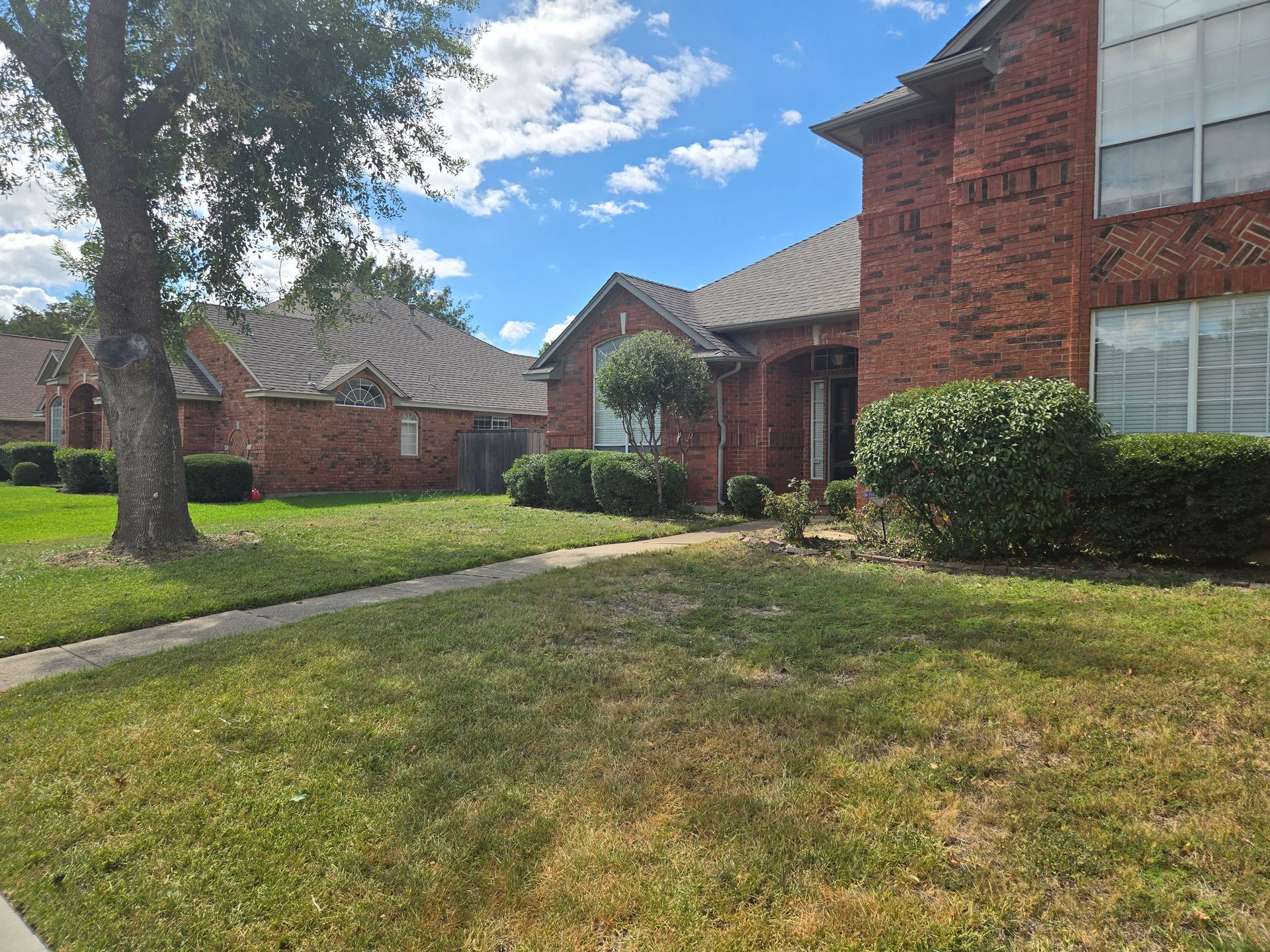 Shrubs in front of a house.