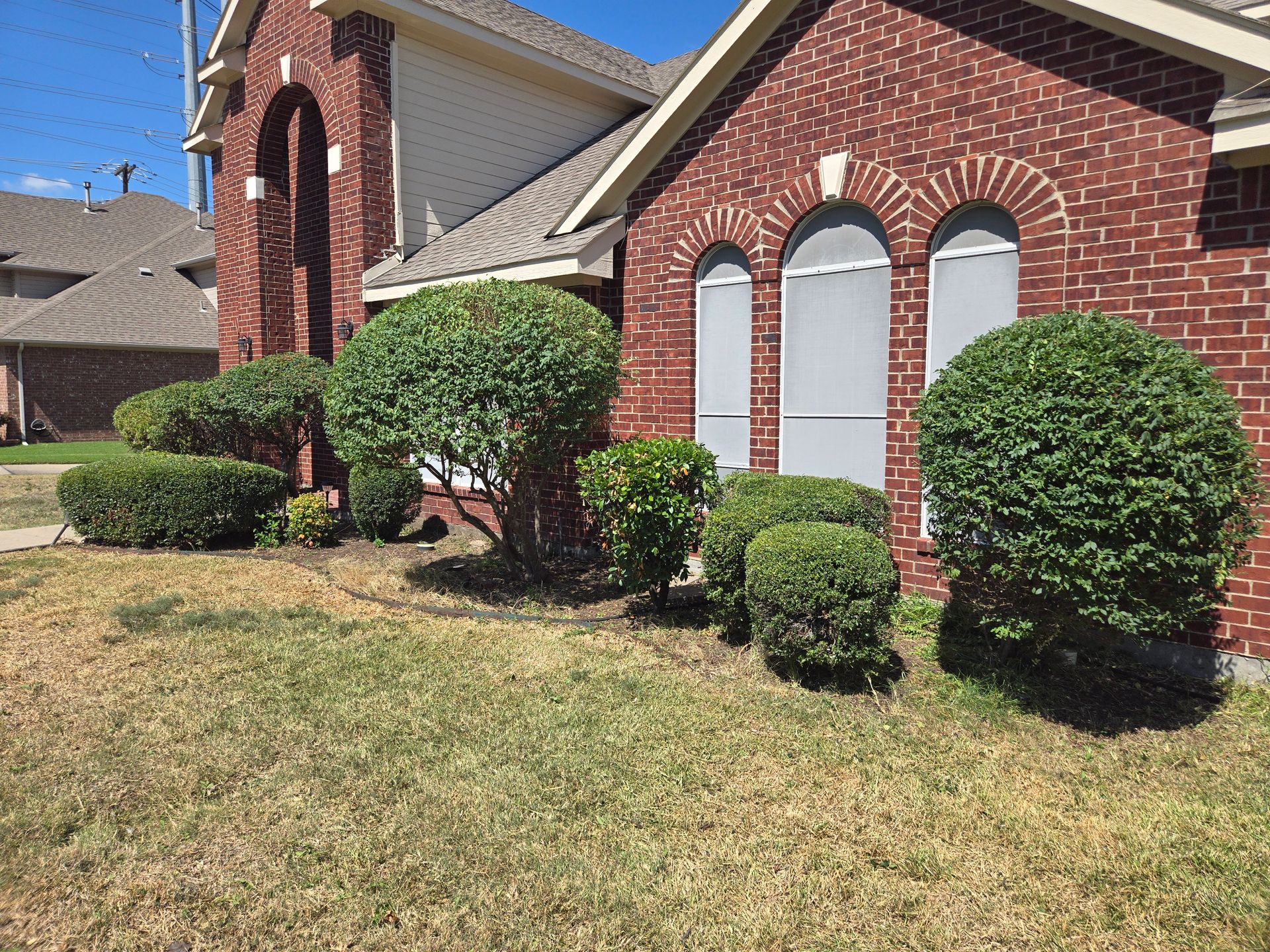 Trimmed bushes and shrubs in front of a brick house