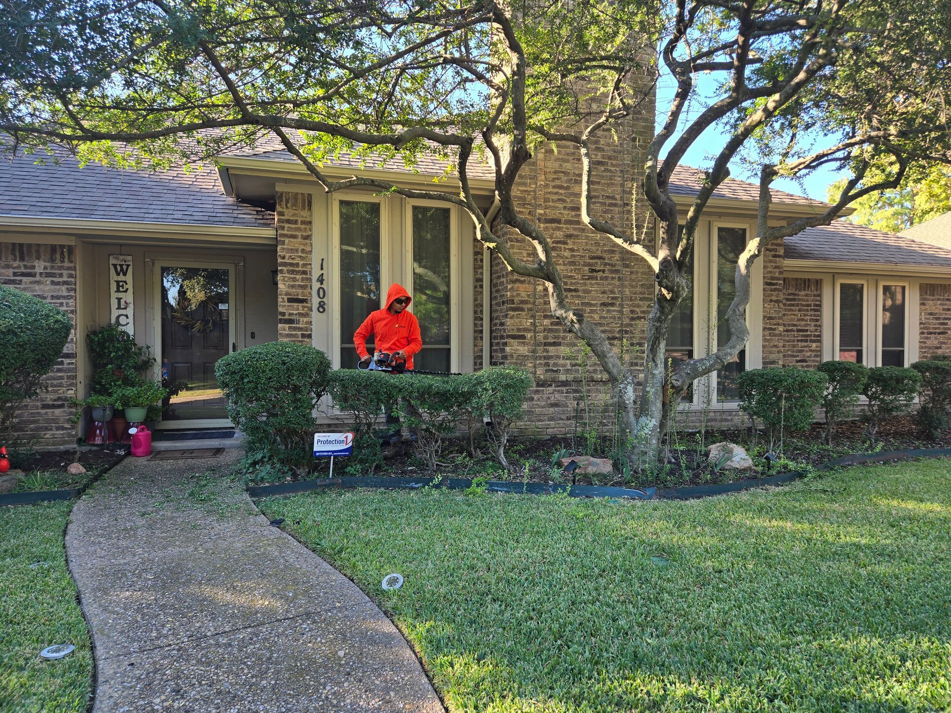 A man trimming hedges.