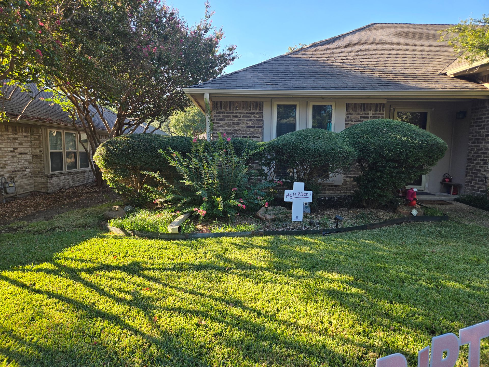 Freshly trimmed shrubs in a garden bed, in front of a house.