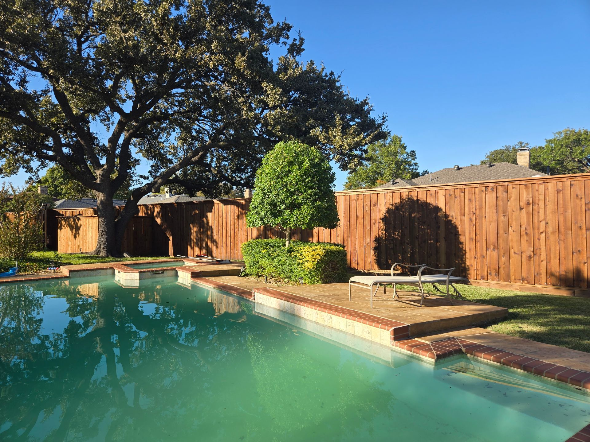 A green shrub trimmed next to a swimming pool.
