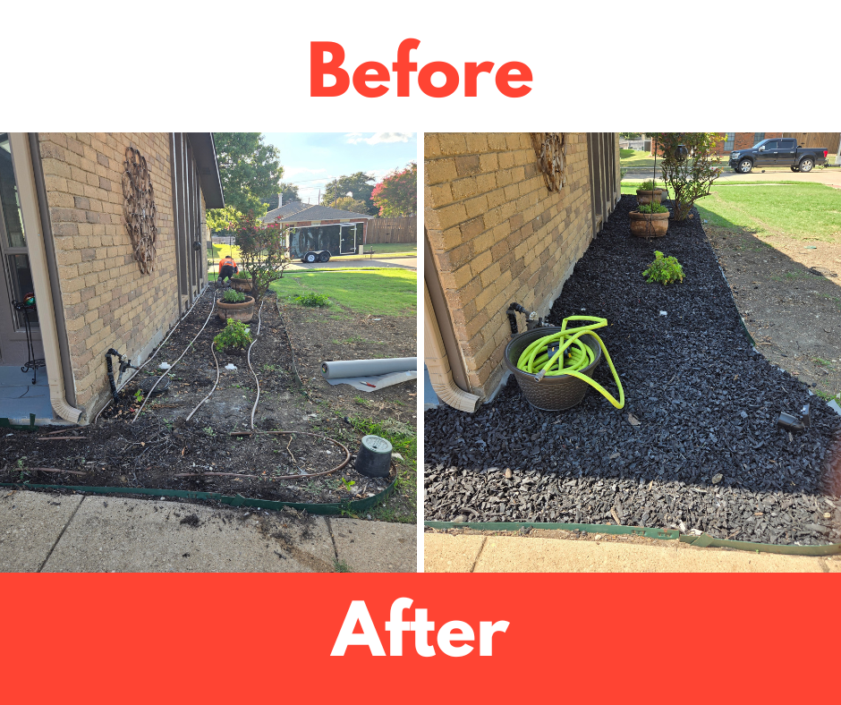 Before and After of cleaned up garden bed with mulch.