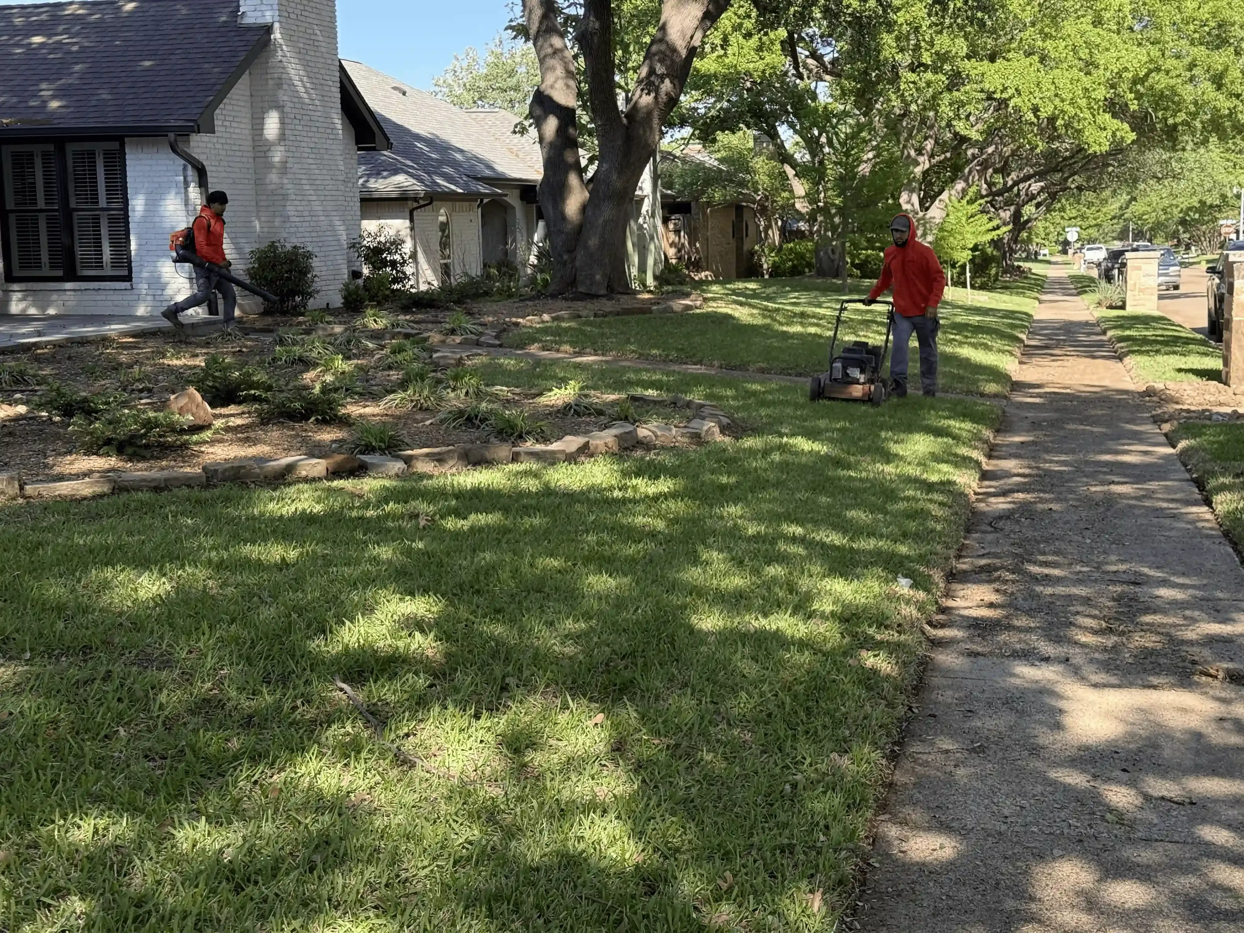 People working in a yard beside a stone house, with a large tree and sidewalk.