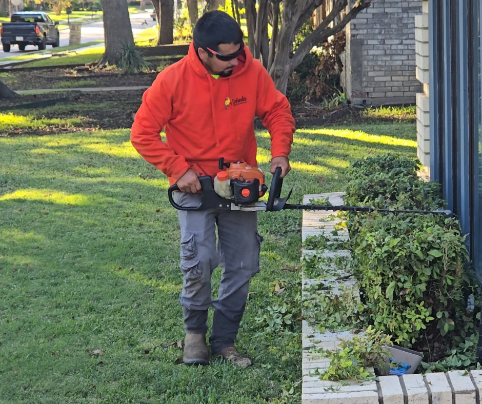 A man trimming hedges.