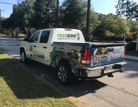 Tree service pickup truck parked on a suburban street, with company logos and a damaged rear bumper.