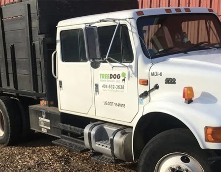 White TreeDogg truck parked beside a black dump trailer on gravel.