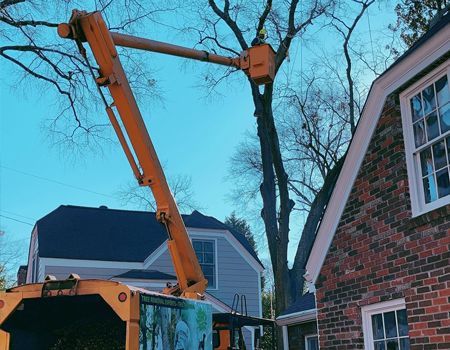 Orange excavator arm lifting a large tree trunk beside a brick house and a gray home at dusk