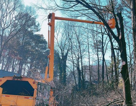 Orange crane lifting a tree branch beside leafless trees in a wooded area