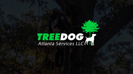 A man is cutting a tree with a chainsaw.