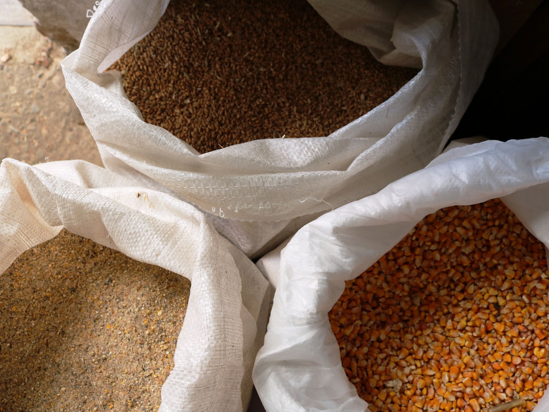 Open sacks filled with assorted grains or seeds, including tan and orange kernels.