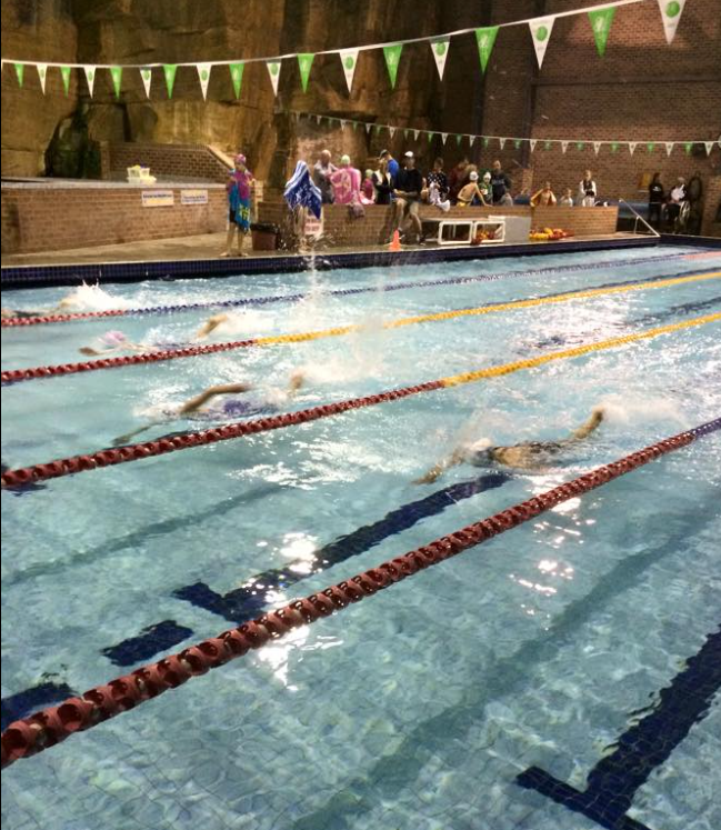 Swimmers racing in a pool with lane markers, spectators in the background.