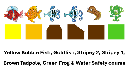 Six icons featuring sea creatures above corresponding colored shapes, labeled by swimming level names from Yellow to Green.