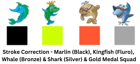 Four cartoon sea creatures with corresponding color squares, labeled as Stroke Correction and Gold Medal squads.