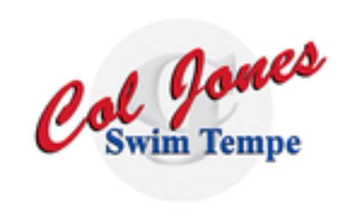 Logo for