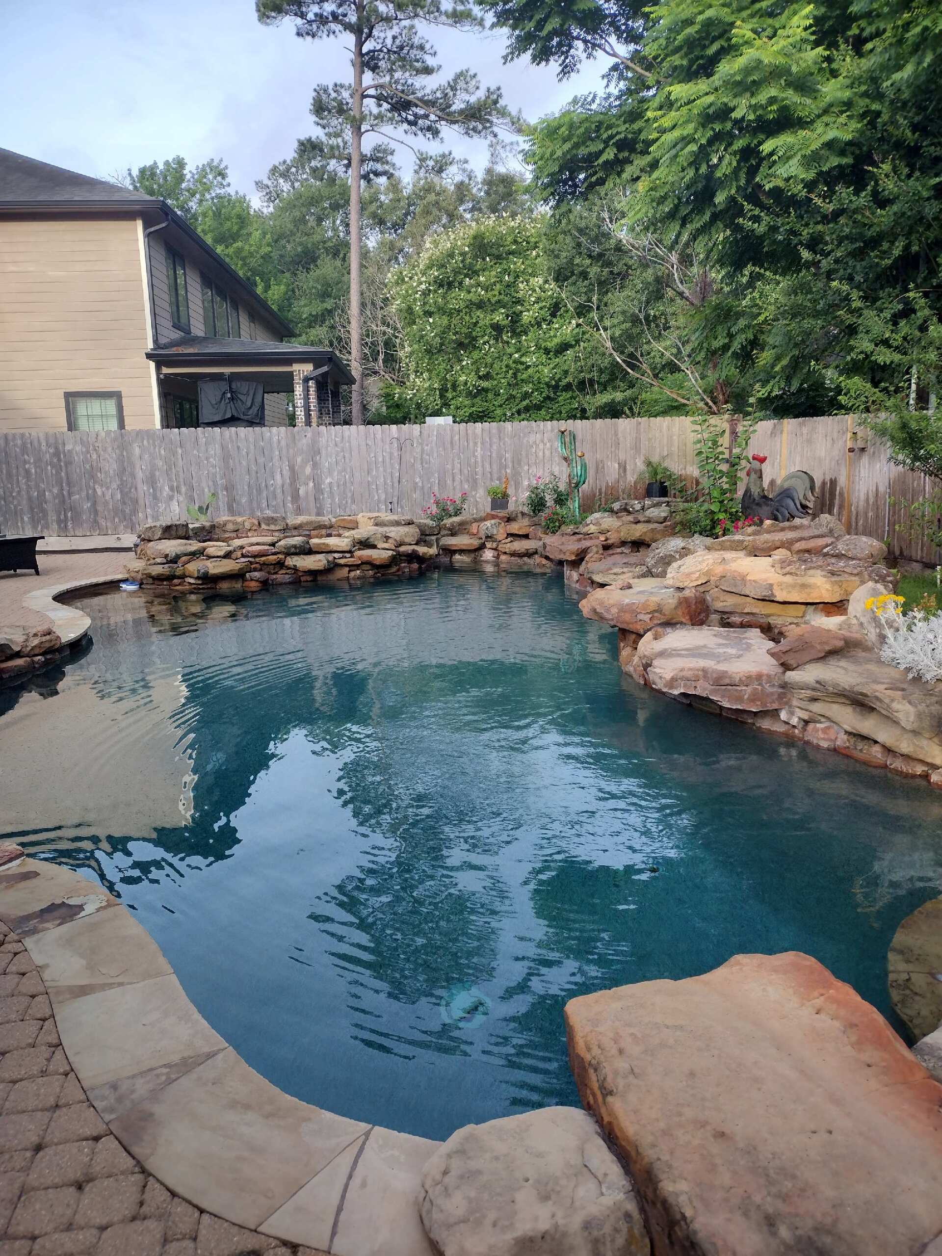 Backyard swimming pool with natural rock edging, tan stone patio, and trees behind a privacy fence