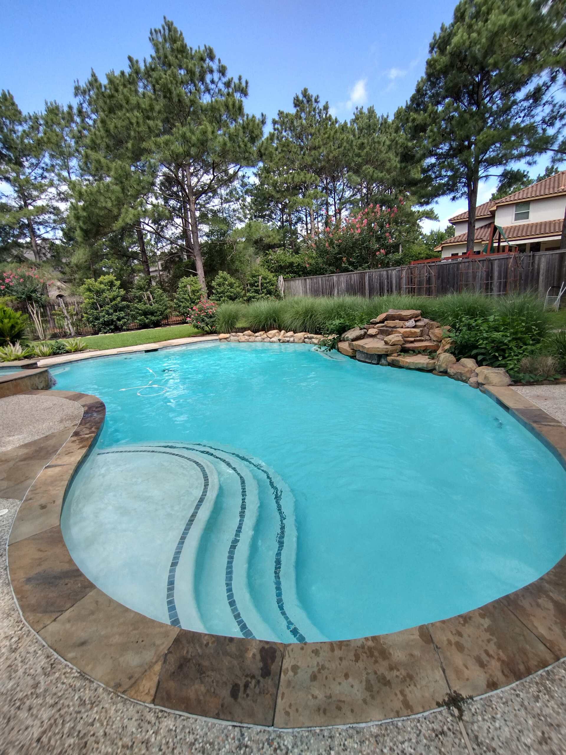 Backyard swimming pool with stone coping, steps, and trees under a clear blue sky