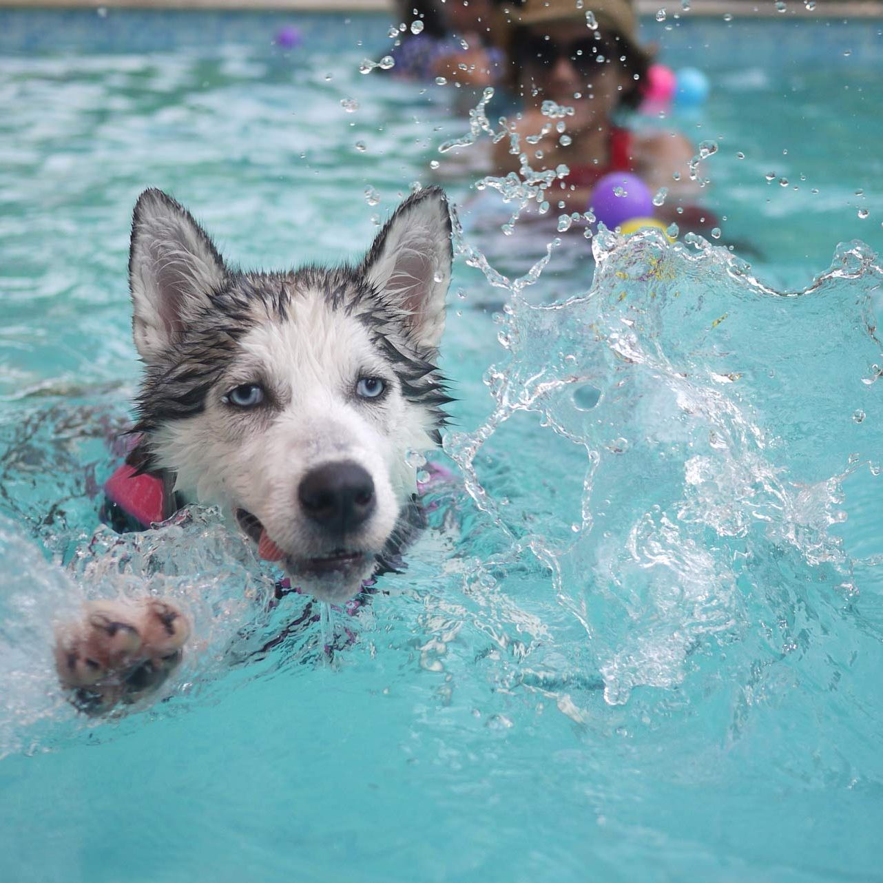 Professional pool cleaning service keeping your pool clean and healthy. 
