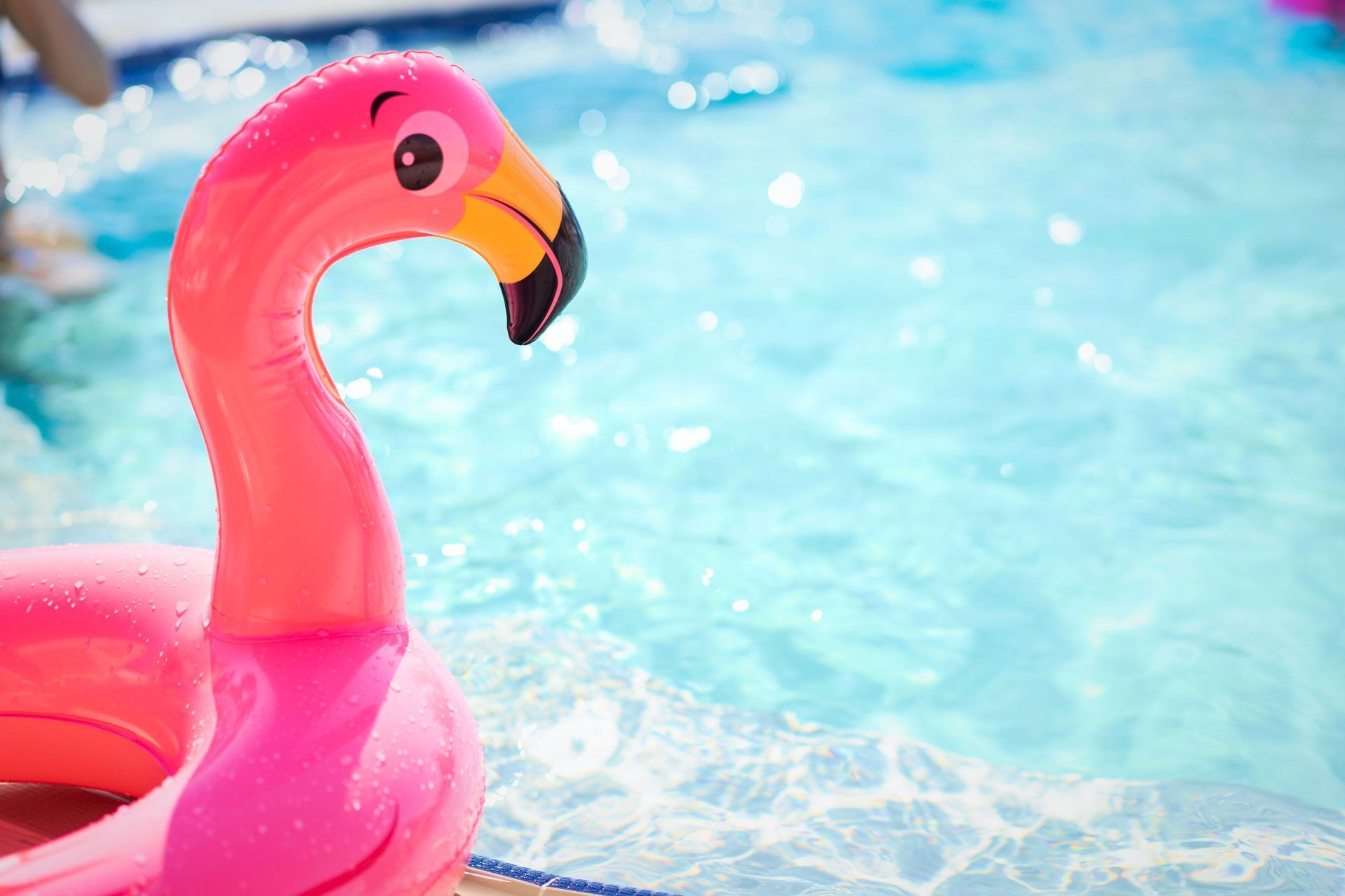 Pink flamingo pool float in a bright blue swimming pool