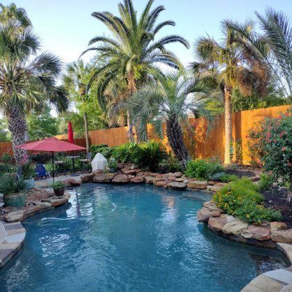 Tropical backyard pool with palm trees, rock landscaping, red umbrella, and a wooden fence at sunset