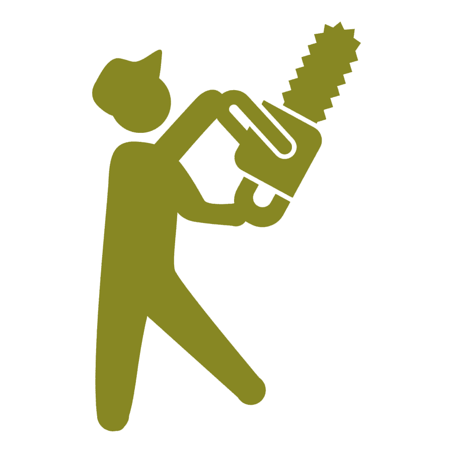 ARBORISTAS Y JARDINERÍA LOPEZ - Poda de palmeras