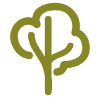 ARBORISTAS Y JARDINERÍA LOPEZ - Poda de palmeras