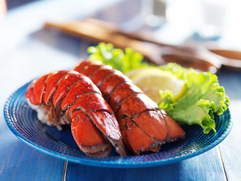 Two lobster tails on blue plate with garnish for dinner