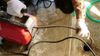 Un trabajador con guantes utiliza una máquina roja con mangueras para limpiar un suelo mojado y un desagüe.
