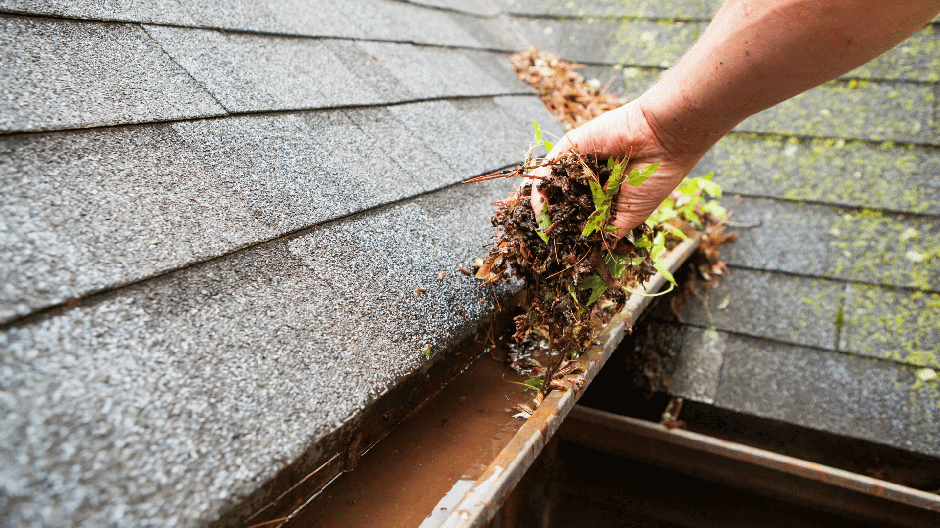 A person is cleaning a gutter on a roof.