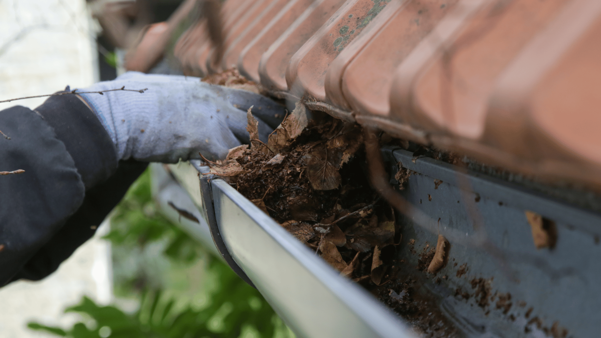 A person is cleaning a gutter from leaves on a roof.