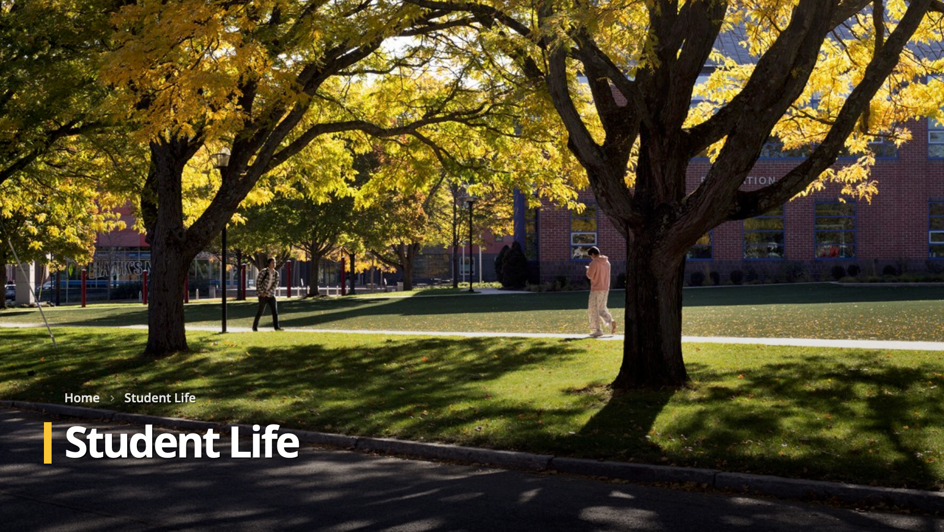 Trees with yellow leaves frame a grassy campus scene; two people walk.