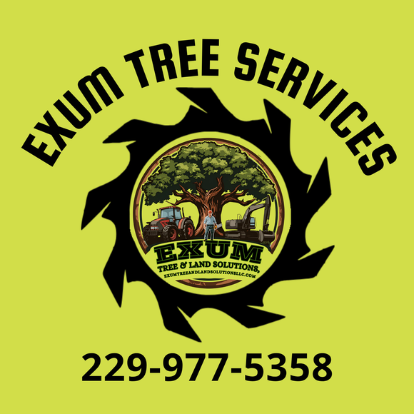 Arborist in safety gear, trimming a tree. Bright yellow shirt, white helmet, blue rope.