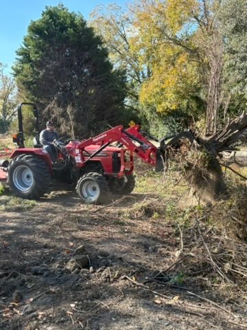 A red tractor with a front loader lifting tree roots in a dirt field. A person is driving the tractor in a sunny outdoor setting.