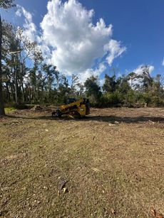 Red tractor with front loader lifting a large tree root in a dirt field.