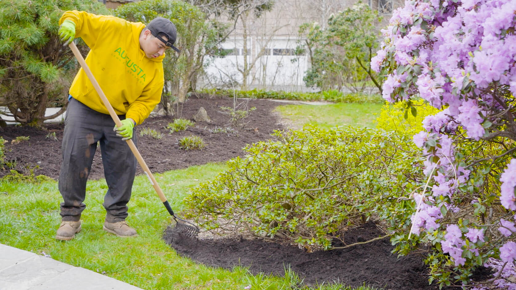 Lawn Care Yard Landscape Maintenance Arroyo Grande CA