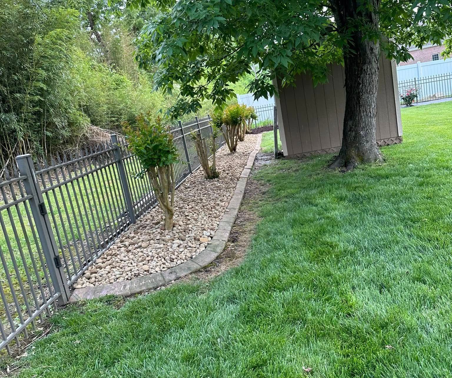 A fence surrounds a lush green yard with trees and bushes.