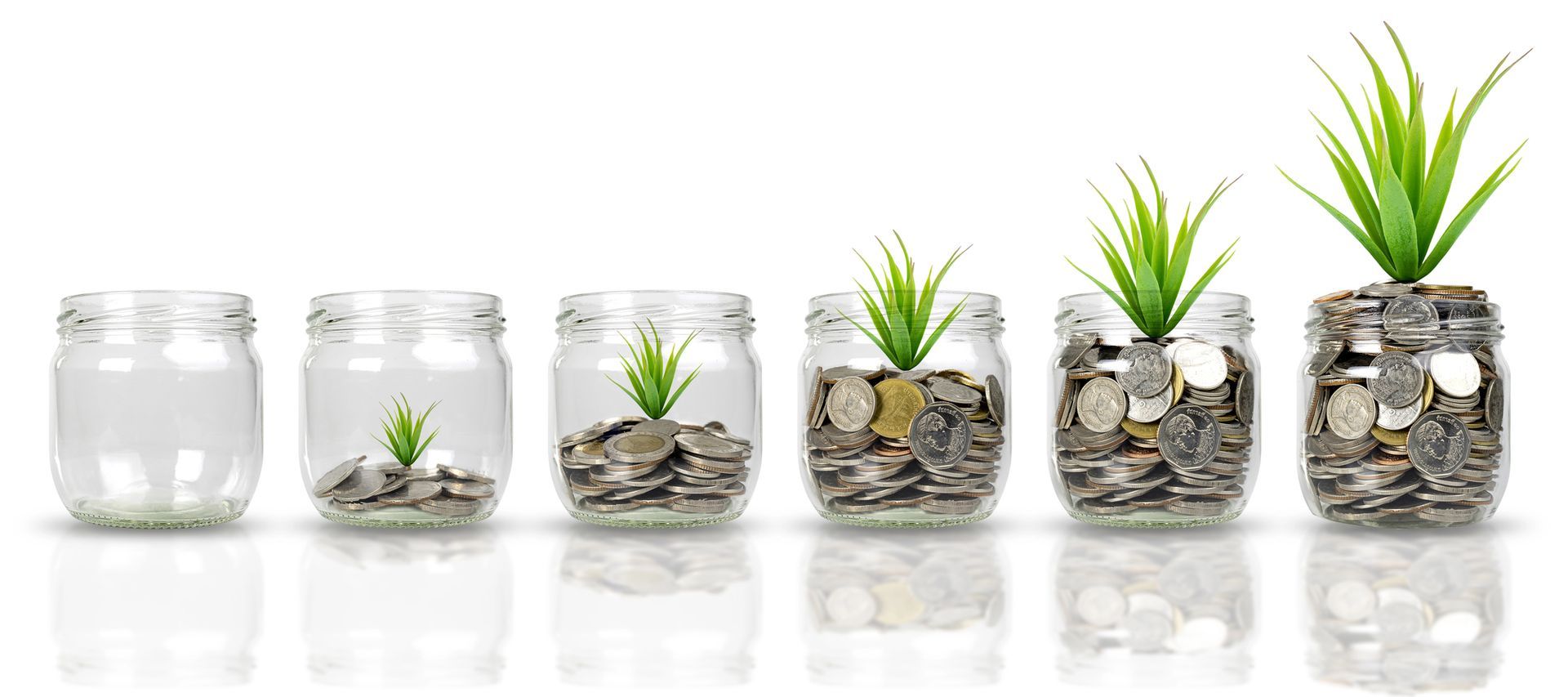 A row of jars filled with coins and plants growing out of them.