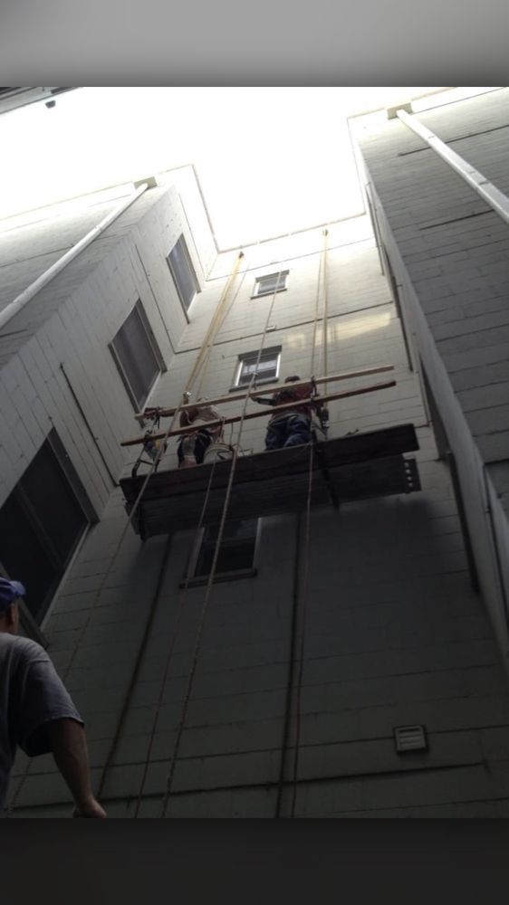 A group of people are working on the side of a building.