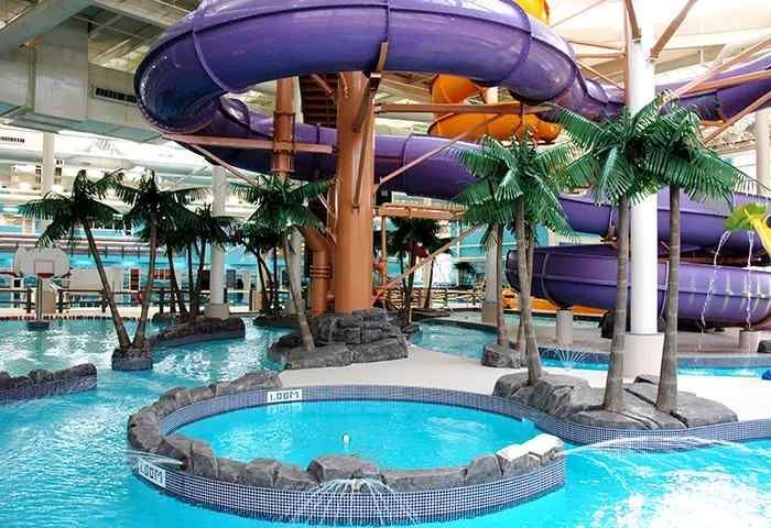 A water park with a purple water slide and palm trees