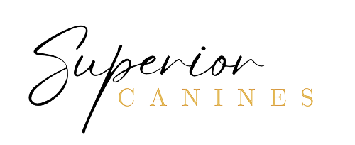 Superior Canines