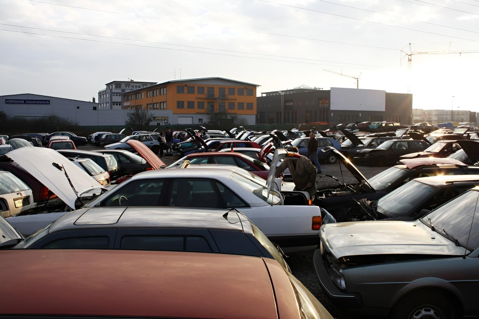 A Crowded Scrap Yard Filled with Rows of Cars — Jap Performance T/A All Tuggerah City Auto Dismantlers in Tuggerah, NSW