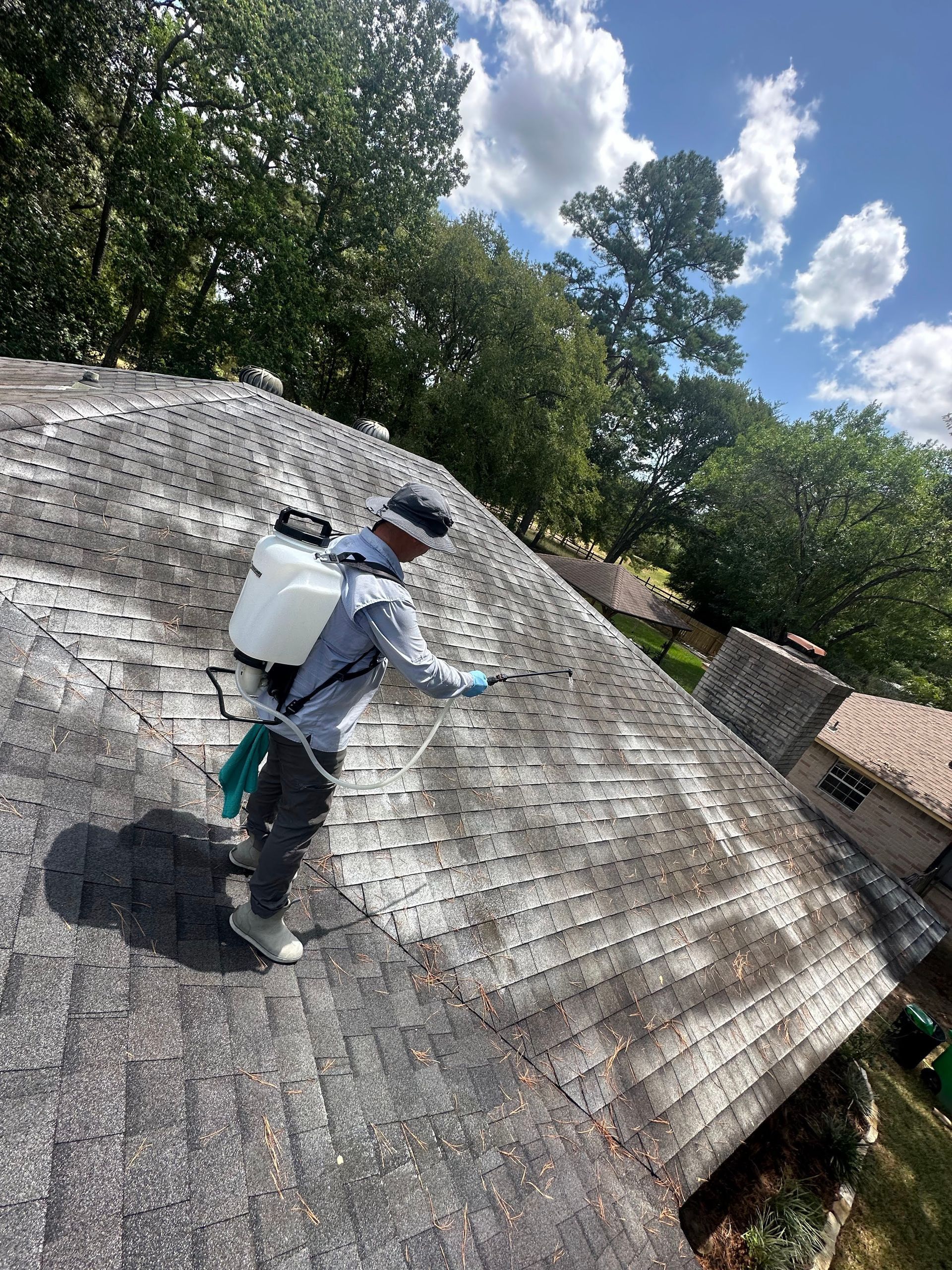 Worker on a steep shingled roof using a harness, with trees and blue sky in the background.