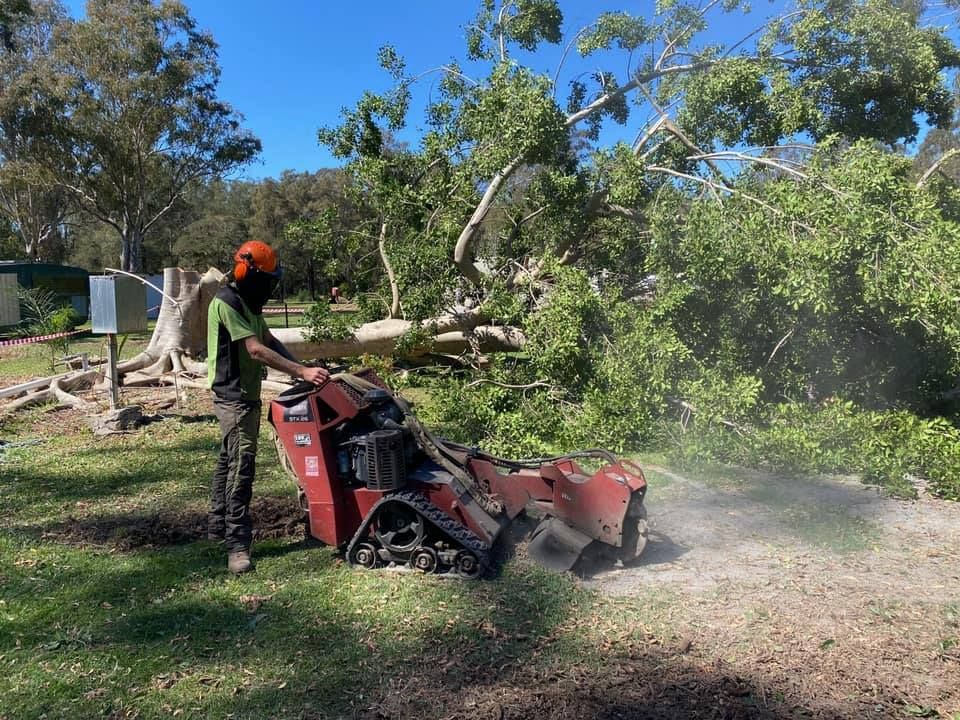 Stumper — Tree Removals In Kempsey, NSW