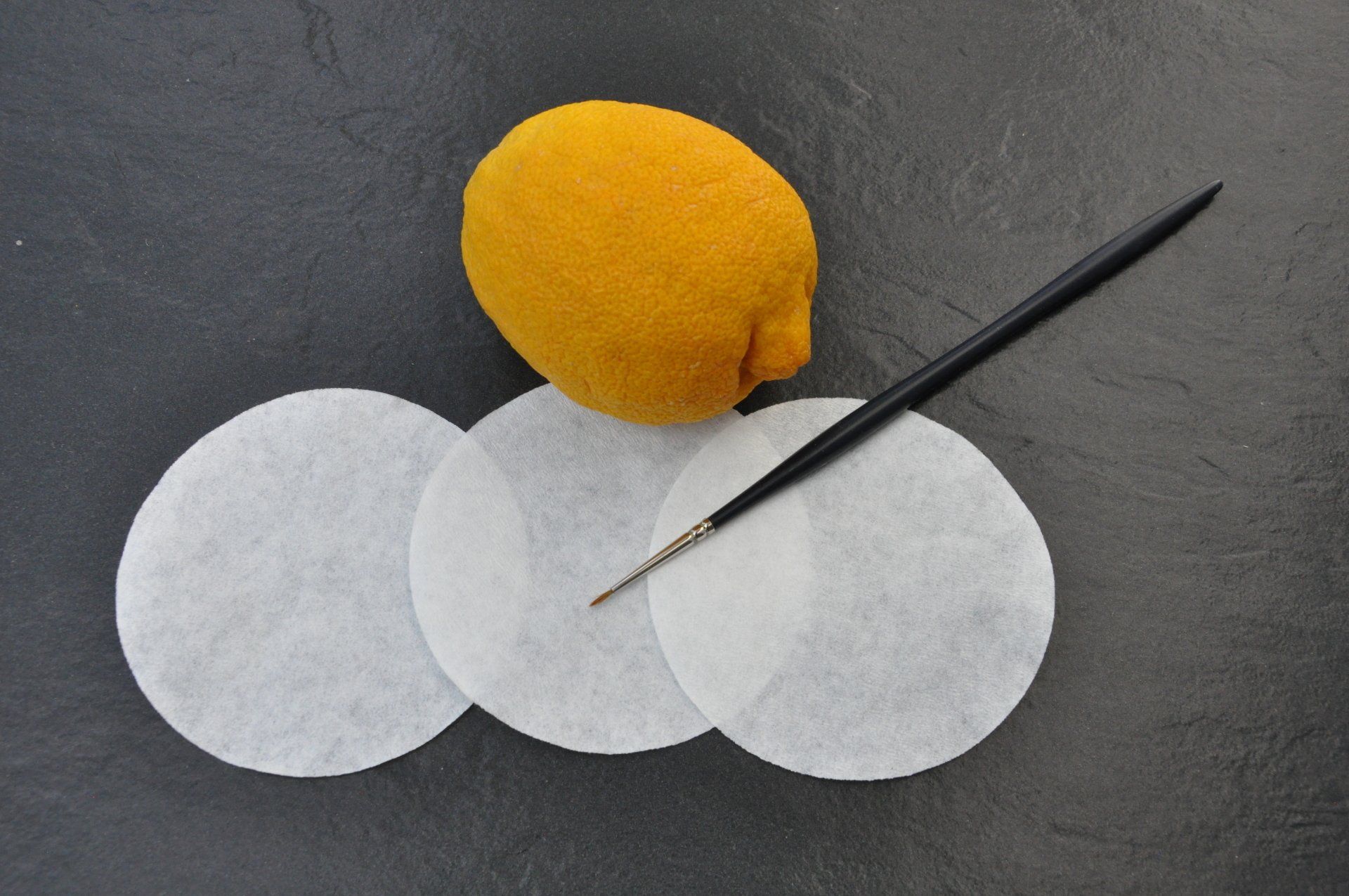 Zitrone, Papier und Pinsel