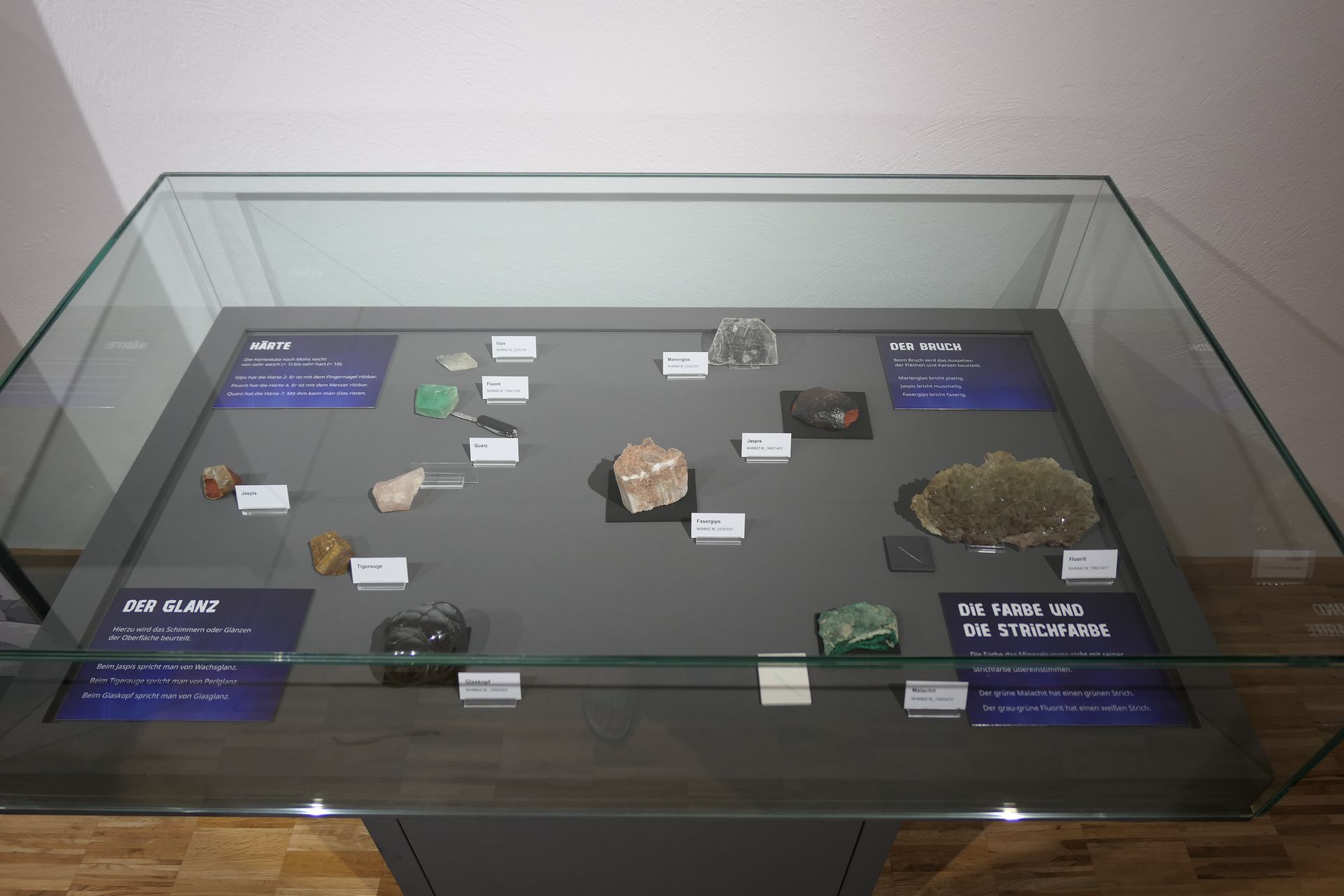 Glasvitrine mit beschrifteten Mineralproben.