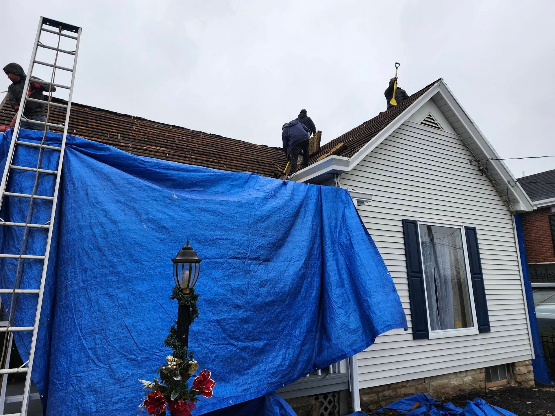 Workers on a roof beside a house covered with blue tarp during repairs, with a ladder nearby.