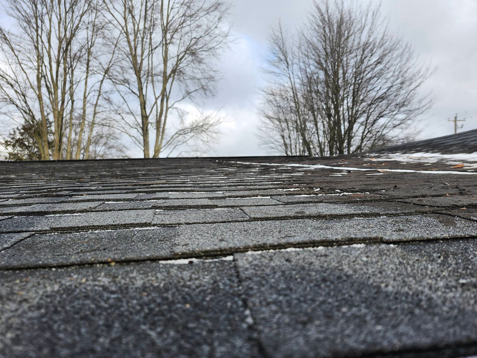 Close-up of a shingled roof with leafless trees and a cloudy sky in the background